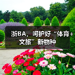 浙BA点燃文旅消费新引擎