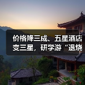 价格降三成、五星酒店变三星，研学游“退烧”（图4）