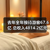 去年全年接待游客67.6亿 总收入4814.2亿元（图3）
