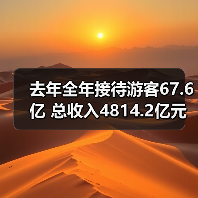 去年全年接待游客67.6亿 总收入4814.2亿元（图4）