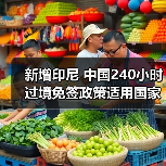 新增印尼 中国240小时过境免签政策适用国家扩展至55国(图2) 新增印尼 中国240小时过境免签政策适用国家扩展至55国(图2)