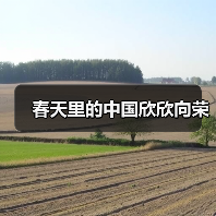 春天里的中国欣欣向荣