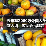 去年超2000万外国人免签入境，政协委员建言如何疏解入境游“堵点”（图2）