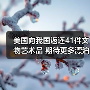美国向我国返还41件文物艺术品 期待更多漂泊海外的文物回家（图3）