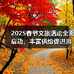 2025春节文旅活动全面启动,丰富供给促进消费(图2) 2025春节文旅活动全面启动,丰富供给促进消费(图2)