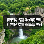 春节价格乱象如何应对?市场监管总局聚焦住宿交通等价格监管(图3) 春节价格乱象如何应对?市场监管总局聚焦住宿交通等价格监管(图3)