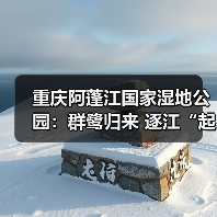 重庆阿蓬江国家湿地公园:群鹭归来 逐江“起舞”(图4) 重庆阿蓬江国家湿地公园:群鹭归来 逐江“起舞”(图4)