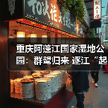 重庆阿蓬江国家湿地公园:群鹭归来 逐江“起舞”(图2) 重庆阿蓬江国家湿地公园:群鹭归来 逐江“起舞”(图2)
