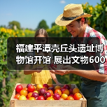 福建平潭壳丘头遗址博物馆开馆 展出文物600多件（图3）