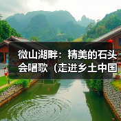微山湖畔：精美的石头会唱歌（走进乡土中国）（图2）