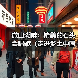 微山湖畔：精美的石头会唱歌（走进乡土中国）（图1）