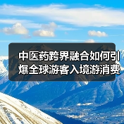 中医药跨界融合如何引爆全球游客入境游消费新场景(图3) 中医药跨界融合如何引爆全球游客入境游消费新场景(图3)