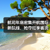 航司年底密集开航国际新航线，抢夺旺季客流高峰（图3）