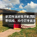 航司年底密集开航国际新航线，抢夺旺季客流高峰（图4）