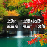 上海：“动漫+旅游” 流量变“留量”（文旅新象）（图1）