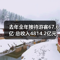 去年全年接待游客67.6亿 总收入4814.2亿元(图1) 去年全年接待游客67.6亿 总收入4814.2亿元(图1)