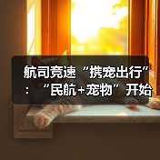 航司竞速“携宠出行”:“民航+宠物”开始延伸(图3) 航司竞速“携宠出行”:“民航+宠物”开始延伸(图3)