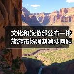 文化和旅游部公布一批旅游市场强制消费问题典型案例(图4) 文化和旅游部公布一批旅游市场强制消费问题典型案例(图4)