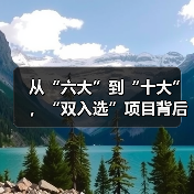 从“六大”到“十大”，“双入选”项目背后的文化密码（图2）