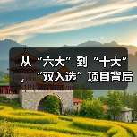 从“六大”到“十大”，“双入选”项目背后的文化密码（图3）
