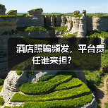 酒店照骗频发,平台责任谁来担?(图3) 酒店照骗频发,平台责任谁来担?(图3)