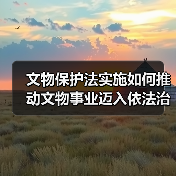 文物保护法实施如何推动文物事业迈入依法治理新阶段?(图1) 文物保护法实施如何推动文物事业迈入依法治理新阶段?(图1)