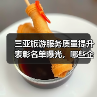三亚旅游服务质量提升表彰名单曝光，哪些企业上榜？（图3）