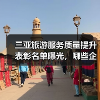 三亚旅游服务质量提升表彰名单曝光，哪些企业上榜？（图4）