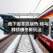 南下避寒旅居热 候鸟族解锁暖冬新玩法（图4）