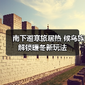 南下避寒旅居热 候鸟族解锁暖冬新玩法（图3）