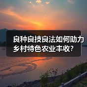 良种良技良法如何助力乡村特色农业丰收?(图4) 良种良技良法如何助力乡村特色农业丰收?(图4)