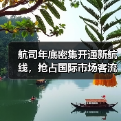 航司年底密集开通新航线，抢占国际市场客流（图1）