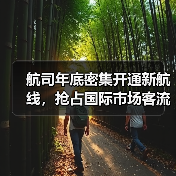 航司年底密集开通新航线，抢占国际市场客流（图2）