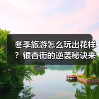冬季旅游怎么玩出花样？银杏街的逆袭秘诀来了！（图4）