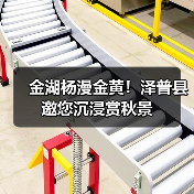 金湖杨漫金黄！泽普县邀您沉浸赏秋景（图2）