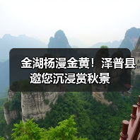 金湖杨漫金黄！泽普县邀您沉浸赏秋景（图3）