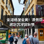 金湖杨漫金黄！泽普县邀您沉浸赏秋景（图4）