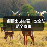 假期出游必看！安全防范全攻略（图1）