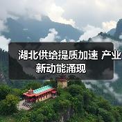 湖北供给提质加速 产业新动能涌现（图4）