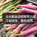文化和旅游部发布六项行业标准：服务规范、等级划分全面升级（图2）