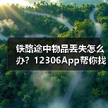 铁路途中物品丢失怎么办？12306App帮你找回