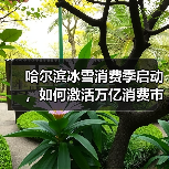 哈尔滨冰雪消费季启动,如何激活万亿消费市场?(图2) 哈尔滨冰雪消费季启动,如何激活万亿消费市场?(图2)