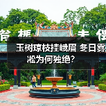 玉树琼枝挂峨眉 冬日雾凇为何独绝？（图4）