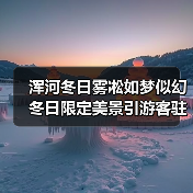浑河冬日雾凇如梦似幻 冬日限定美景引游客驻足(图2) 浑河冬日雾凇如梦似幻 冬日限定美景引游客驻足(图2)