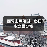 西界山雪落时,冬日雾凇奇景尽赏(图3) 西界山雪落时,冬日雾凇奇景尽赏(图3)