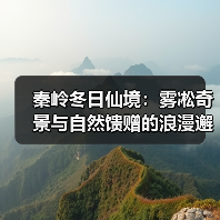 秦岭冬日仙境：雾凇奇景与自然馈赠的浪漫邂逅（图4）