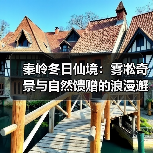 秦岭冬日仙境：雾凇奇景与自然馈赠的浪漫邂逅（图3）