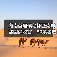 海南首届候鸟杯匹克球赛圆满收官,80余名选手同场竞技(图1) 海南首届候鸟杯匹克球赛圆满收官,80余名选手同场竞技(图1)