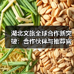 湖北文旅全球合作新突破:合作伙伴与推荐官授牌助力国际化推广(图2) 湖北文旅全球合作新突破:合作伙伴与推荐官授牌助力国际化推广(图2)