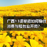 广西13条促消费稳增长措施：线上线下活动齐发力